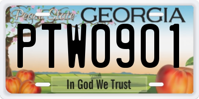 GA license plate PTW0901