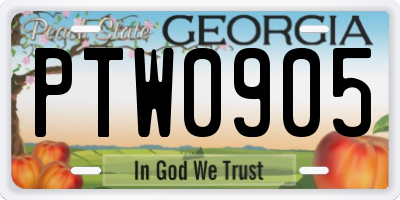 GA license plate PTW0905