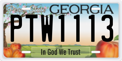 GA license plate PTW1113