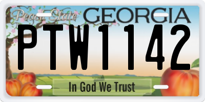 GA license plate PTW1142