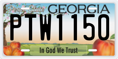 GA license plate PTW1150