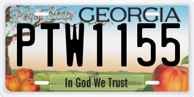 GA license plate PTW1155