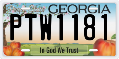GA license plate PTW1181
