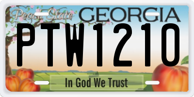 GA license plate PTW1210