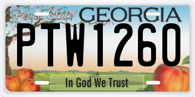 GA license plate PTW1260