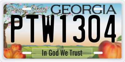 GA license plate PTW1304