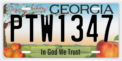 GA license plate PTW1347
