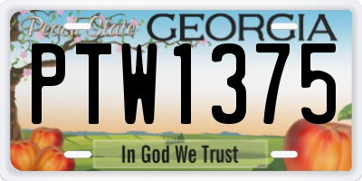 GA license plate PTW1375
