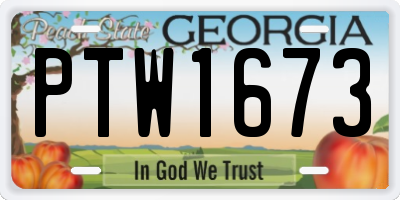 GA license plate PTW1673