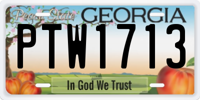 GA license plate PTW1713