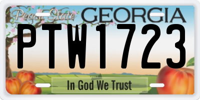 GA license plate PTW1723