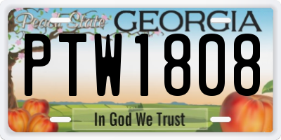 GA license plate PTW1808
