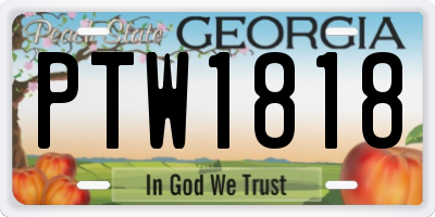 GA license plate PTW1818