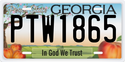 GA license plate PTW1865