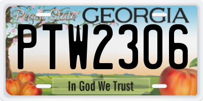 GA license plate PTW2306