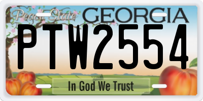 GA license plate PTW2554
