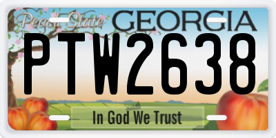 GA license plate PTW2638