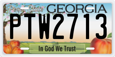 GA license plate PTW2713