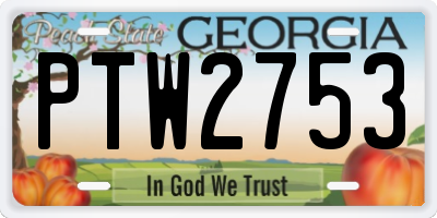 GA license plate PTW2753