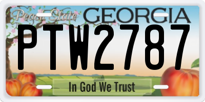 GA license plate PTW2787