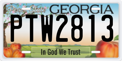 GA license plate PTW2813