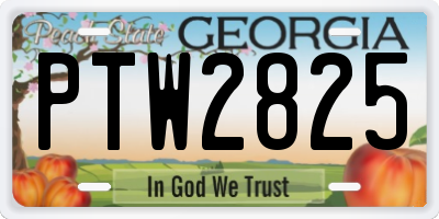 GA license plate PTW2825