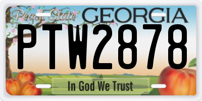 GA license plate PTW2878