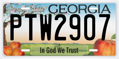 GA license plate PTW2907