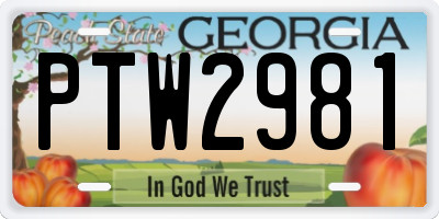 GA license plate PTW2981