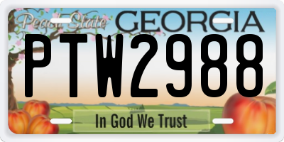 GA license plate PTW2988