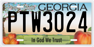 GA license plate PTW3024