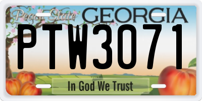 GA license plate PTW3071