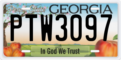 GA license plate PTW3097