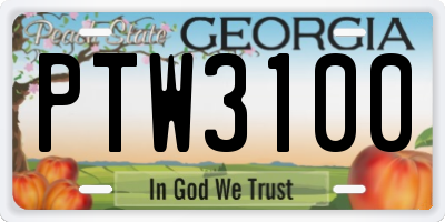 GA license plate PTW3100