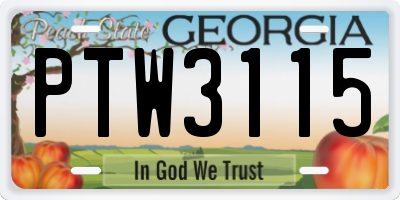 GA license plate PTW3115
