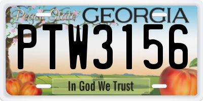 GA license plate PTW3156