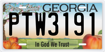 GA license plate PTW3191