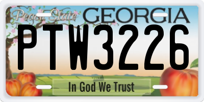 GA license plate PTW3226