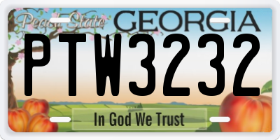 GA license plate PTW3232