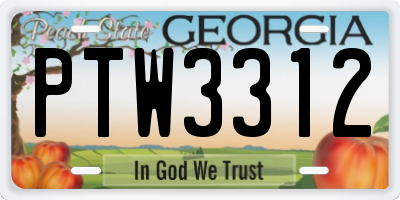 GA license plate PTW3312