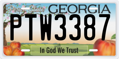 GA license plate PTW3387