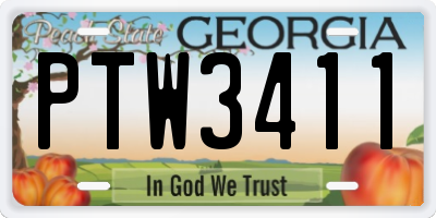 GA license plate PTW3411