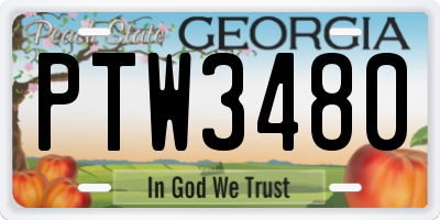 GA license plate PTW3480