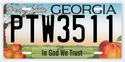 GA license plate PTW3511