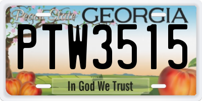 GA license plate PTW3515