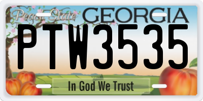GA license plate PTW3535