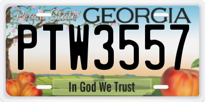 GA license plate PTW3557