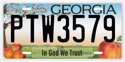 GA license plate PTW3579