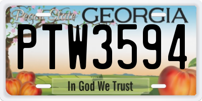 GA license plate PTW3594