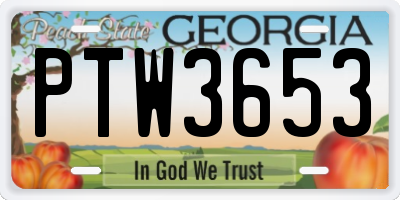GA license plate PTW3653
